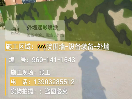 岳阳 迷彩漆喷涂价格（按平方米计费）
