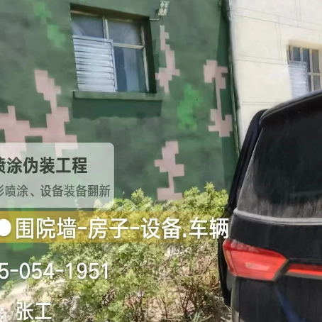 岳阳数码迷彩漆施工